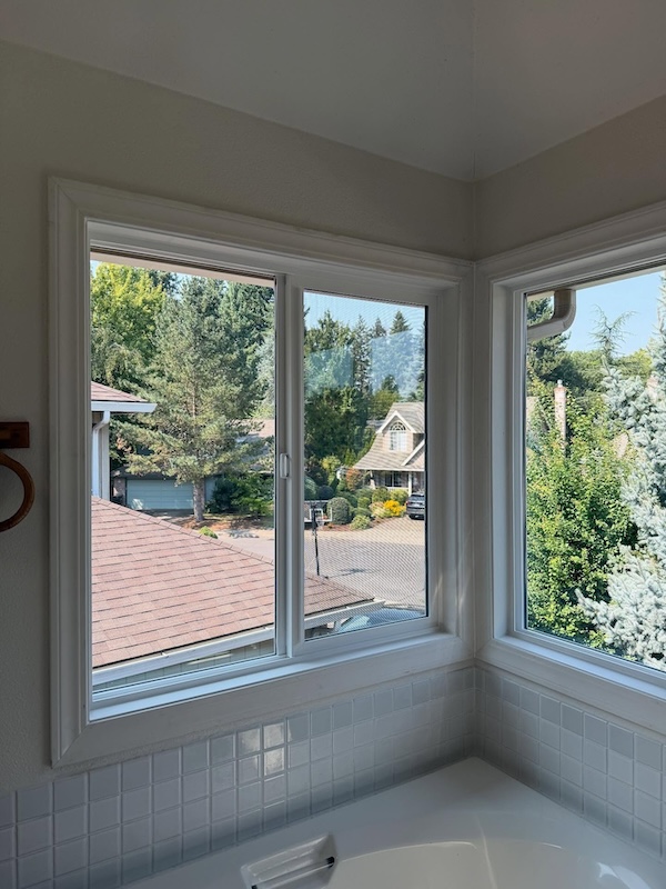 Glass windows surrounding bathrub